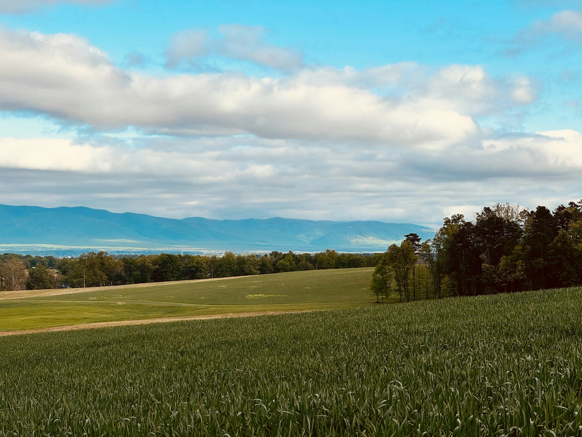 Farmland in central Virginia with the Blue Ridge in the distance